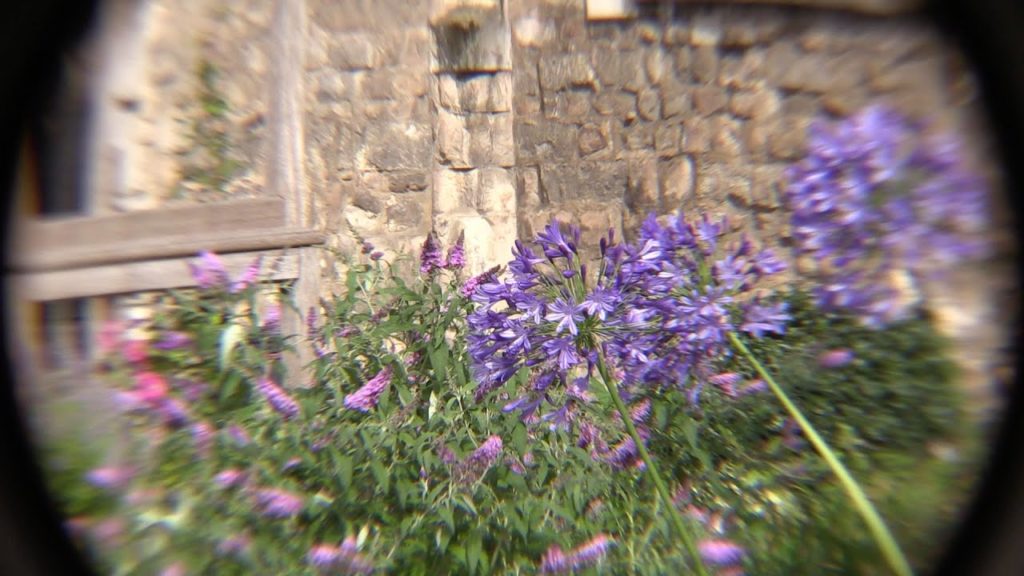 Five secret gardens in the City of London