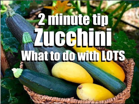 CaliKim: Zucchini – 2 Quick, Simple Things to Do With It: Oven Roasting and Freezing // CaliKim 2 Minute Tip Zucchini - 2 Quick, Simple Things to Do With It: Oven Roasting and Freezing // CaliKim 2 Minute Tip