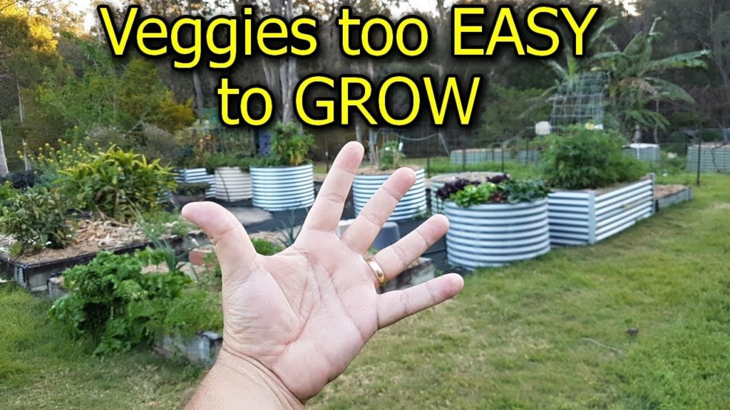 5 Vegetables that are too EASY to GROW in the Garden 5 Vegetables that are too EASY to GROW in the Garden
