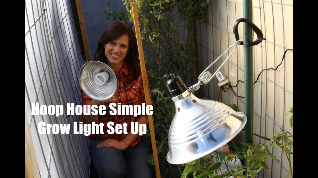 Hoop House Simple Grow Light Set Up