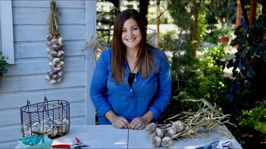 Garden Answer: Curing, Storing, and Braiding Garlic 🌿 // Garden Answer Curing, Storing, and Braiding Garlic 🌿 // Garden Answer