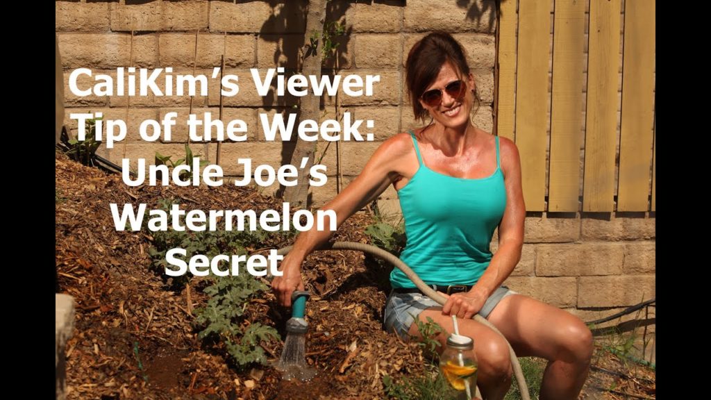 CaliKim's Viewer Tip of the Week: Uncle Joe's Watermelon Secret