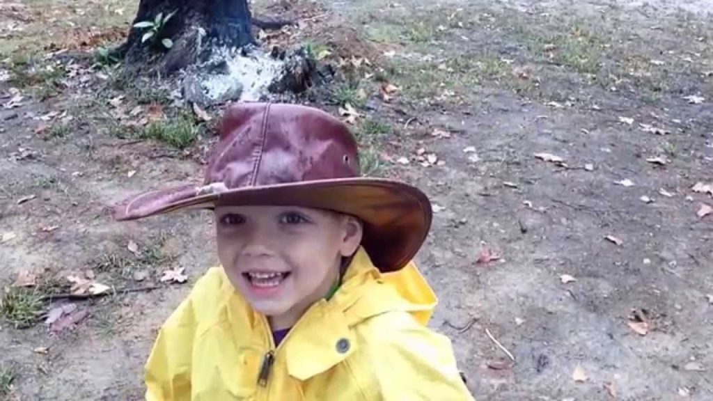 The Best Way to Remove Stumps