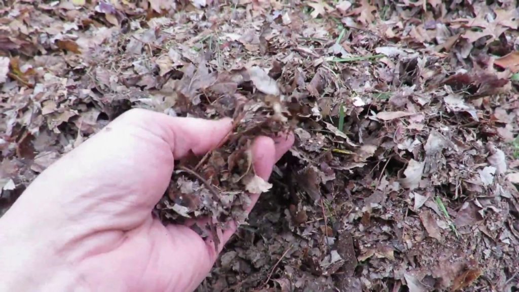 Garden Trench Composting and a Basic Compost Bin: Chop Up Your Garden Leaves and Bury Them!