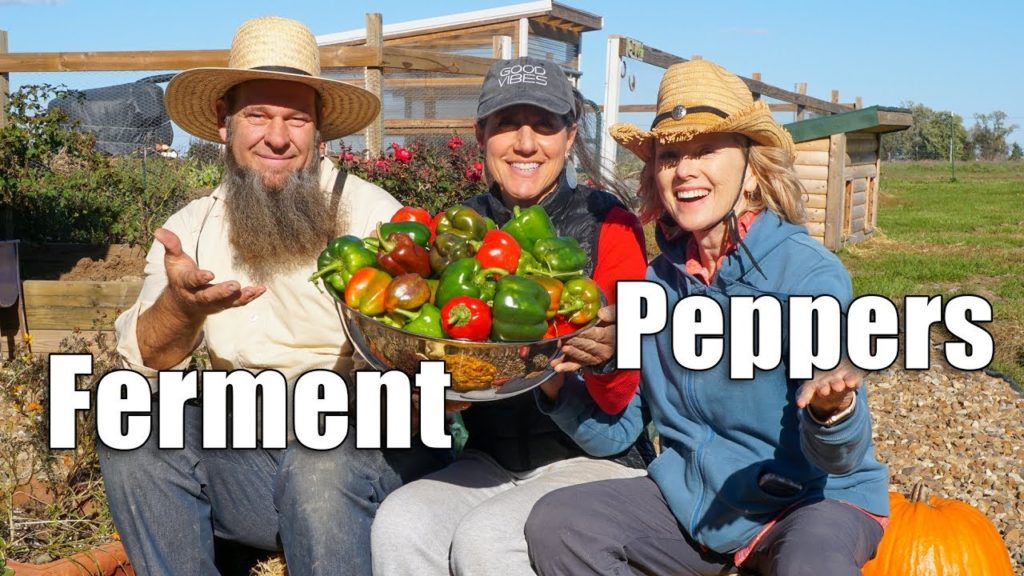 OFF GRID with Doug and Stacy | Day 1 | Missouri Homestead