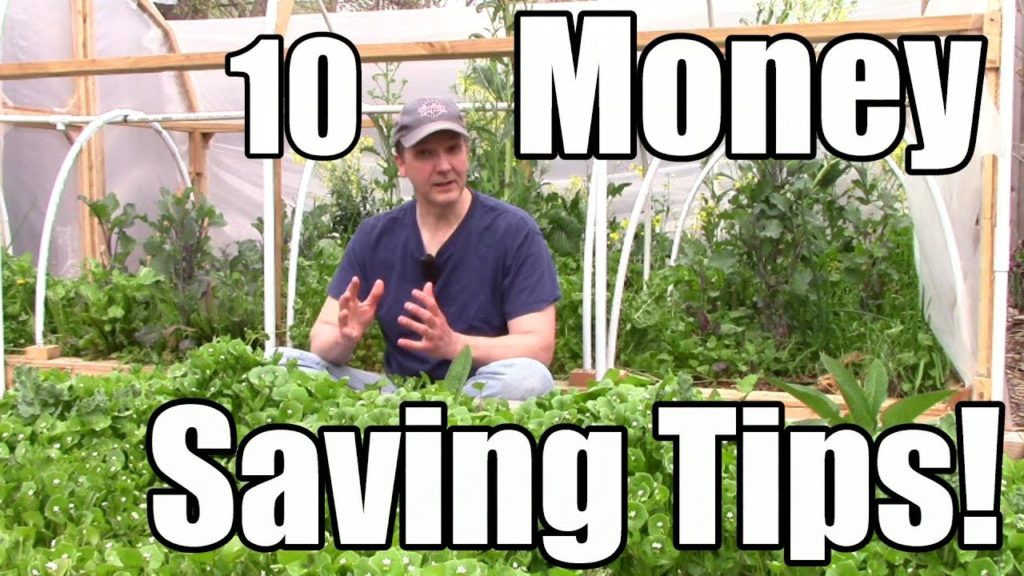 10 Money & Resource Saving Tips for Gardeners (Featuring Chris Towerton on Permaculture Swales) 10 Money & Resource Saving Tips for Gardeners (Featuring Chris Towerton on Permaculture Swales)