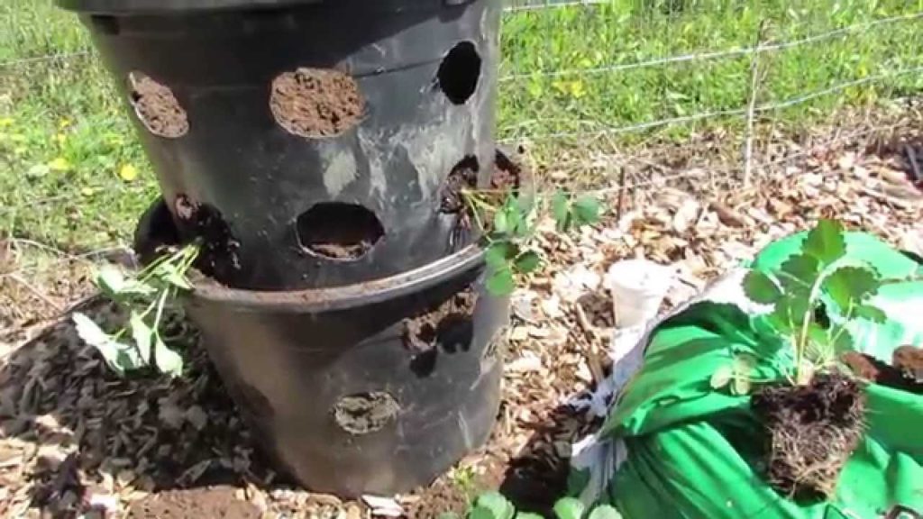 Gary Pilarchik: How to Build and Plant a 3 Tier Strawberry Tower from Repurposed Containers – TRG 2015 How to Build and Plant a 3 Tier Strawberry Tower from Repurposed Containers - TRG 2015