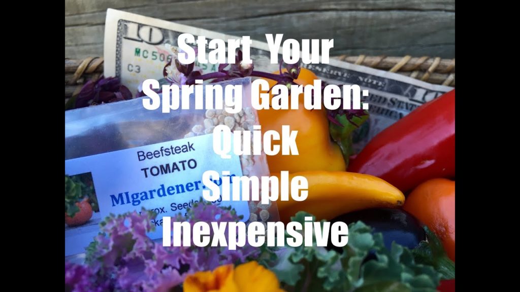 The $10 Garden Series #1 -Starting Your Spring Garden - Quick, Simple and Inexpensive!