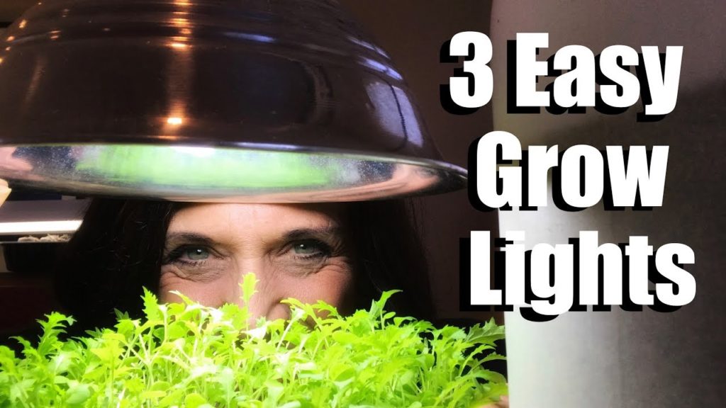 3 Easy Grow Light Set Ups for Starting Vegetable Seeds Indoors & Lumens and Kelvin Explained