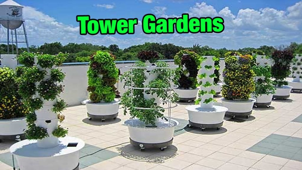 Verticle Gardens - FOOD GARDENING