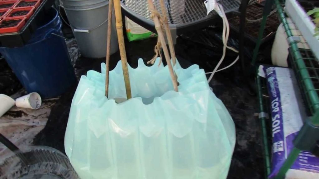 Gary Pilarchik: Intro to Wall of Water & How it Works: Start Tomatoes 4 Weeks Early! – MFG 2014 Intro to Wall of Water & How it Works: Start Tomatoes 4 Weeks Early! - MFG 2014