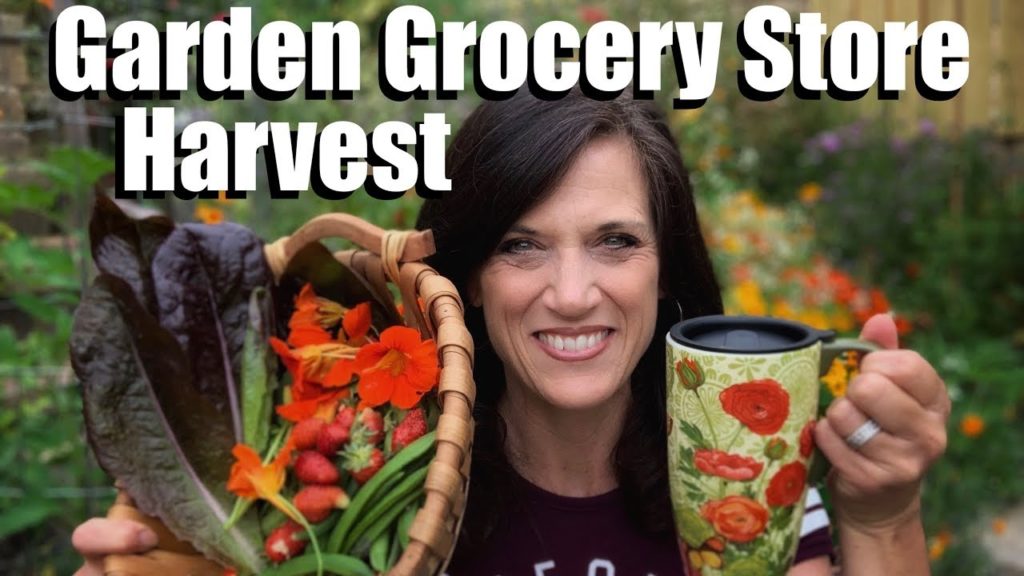 CaliKim: Spring Harvest from the Organic Garden Grocery Store! Spring Harvest from the Organic Garden Grocery Store!