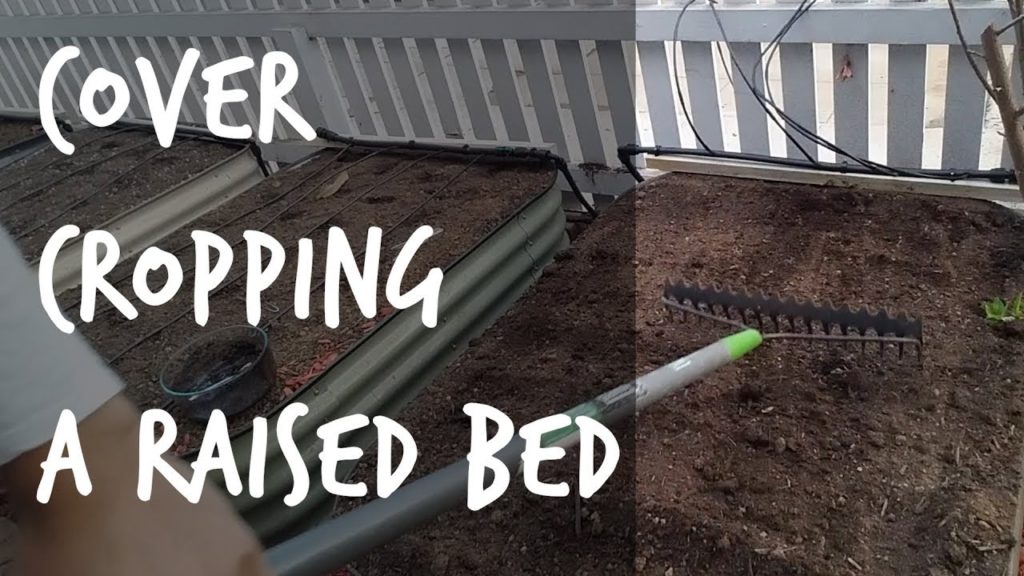 Epic Gardening: Soil Health Tips: How to Plant Cover Crops in a Raised Bed Soil Health Tips: How to Plant Cover Crops in a Raised Bed