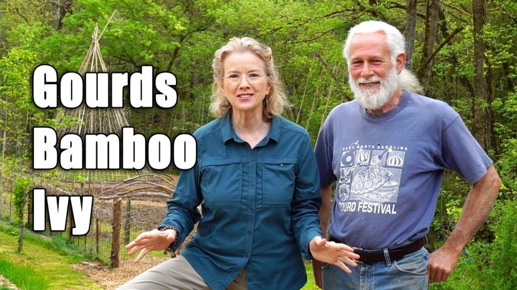 TENNESSEE Bamboo Garden Oasis | Part 2 | Gourds, DIY Bridge