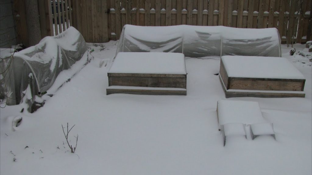How To Water Veggies In An Unheated Cold Frame, Polytunnel, Or Hoop House