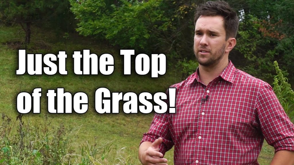 Learn About Grass Fed Beef, Holistic Management and Soil Biology