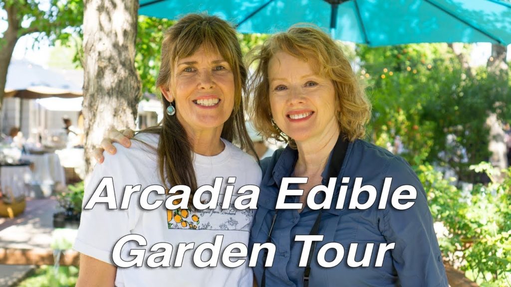 Kaye Kittrell: EDIBLE GARDEN Tour | Phoenix, Arizona | 4 Beautiful Gardens! EDIBLE GARDEN Tour | Phoenix, Arizona | 4 Beautiful Gardens!