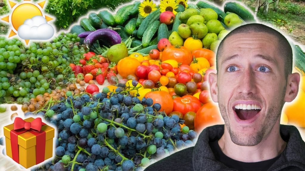 James Prigioni: Does The BACK TO EDEN Method Actually WORK!? Does The BACK TO EDEN Method Actually WORK!?