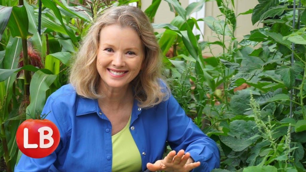 Conserve Water in Your Garden | Late Bloomer | Episode 10