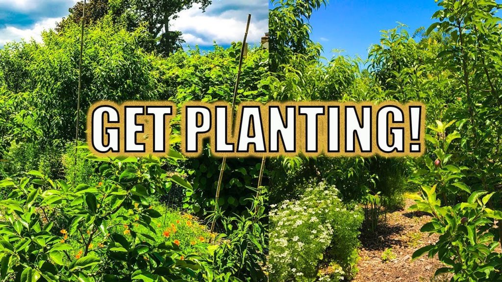 GET PLANTING!!!