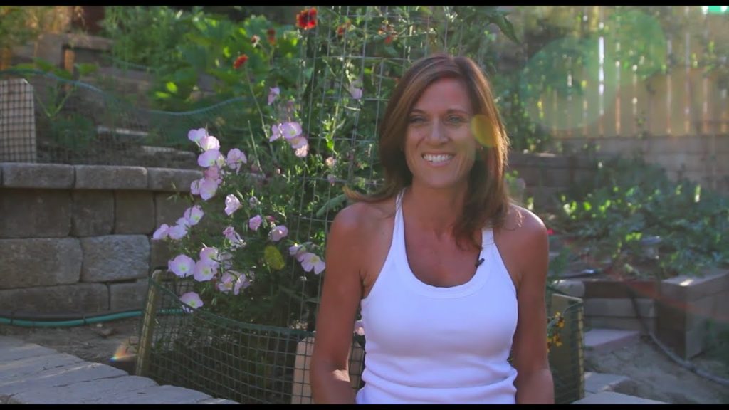 How to Grow Watermelon E04  Two Month Check-In & Questions