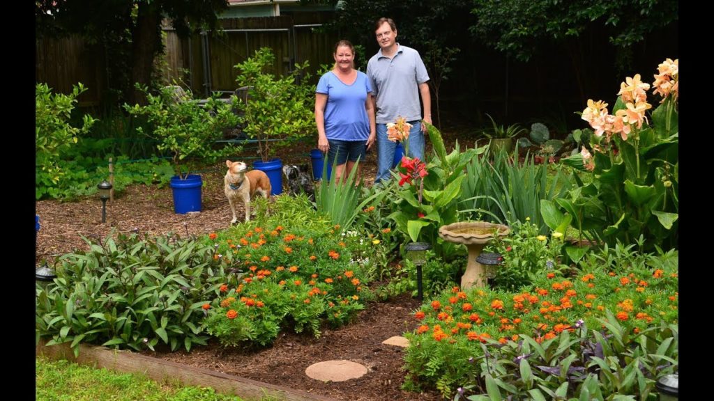 Turning Lawn into Backyard Food & Flowers | Central Texas Gardener Turning Lawn into Backyard Food & Flowers | Central Texas Gardener