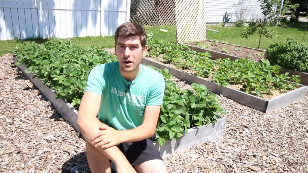 MIgardener: Why a 1-1-1 Fertilizer is BETTER Than a 30-30-30! Why a 1-1-1 Fertilizer is BETTER Than a 30-30-30!