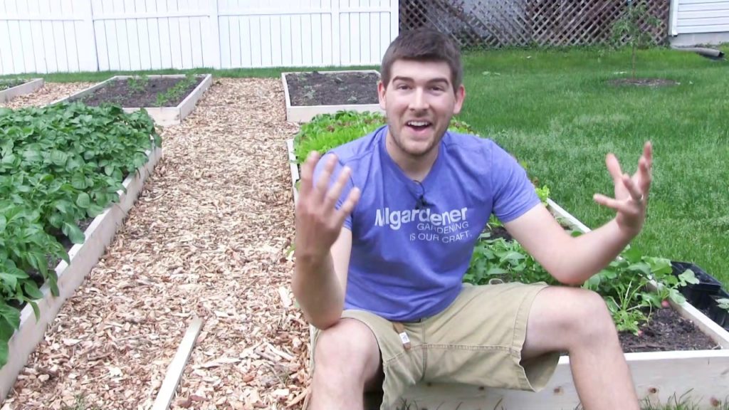 Harvesting 14 Pounds of Radishes From Just 9 Square Feet!