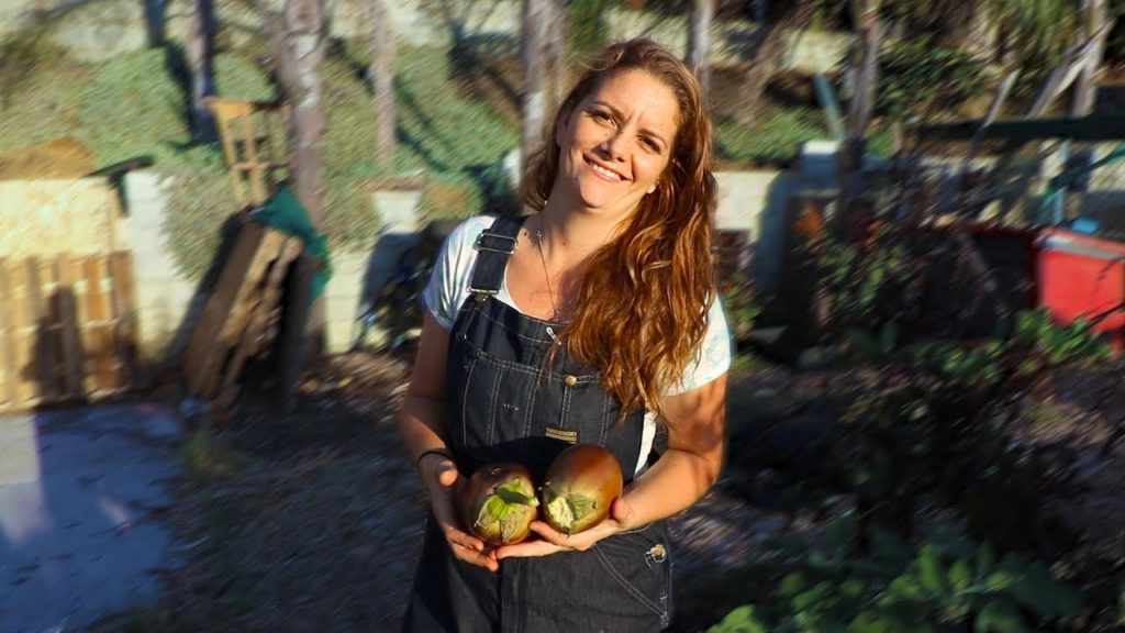 Quitting Your Job to Farm Seeds For a Living? 🌱