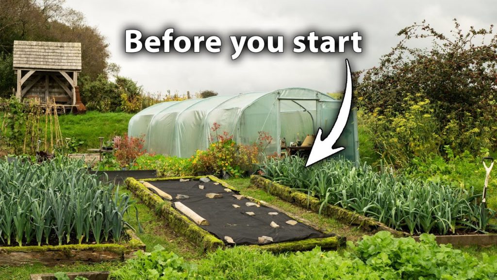 Huw Richards: Creating a Vegetable Garden? 3 Things You Can't Afford to Ignore Creating a Vegetable Garden? 3 Things You Can't Afford to Ignore