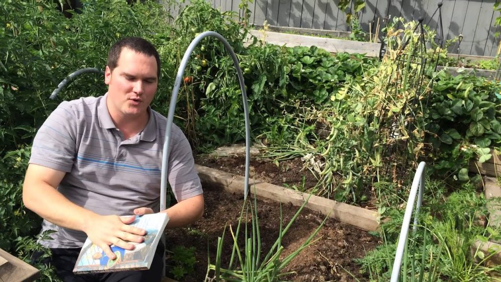 Planning and Planting Fall and Winter Crops in the Alberta Urban Garden