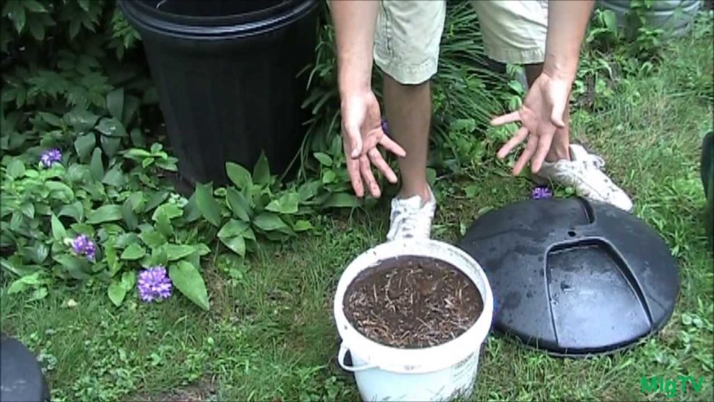 How To Make Easy Hassle Free Compost Tea