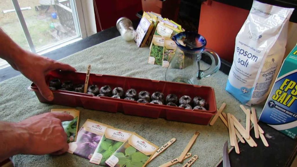 Gary Pilarchik: Great Herbs: How to Use Peat Pellet Seed Starting Kits & Planting 4 Types of Basil – MFG 2014 Great Herbs: How to Use Peat Pellet Seed Starting Kits & Planting 4 Types of Basil - MFG 2014