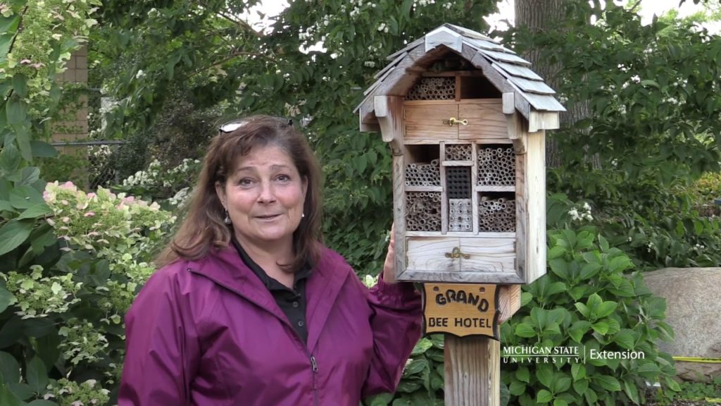 Smart Gardening for Pollinators