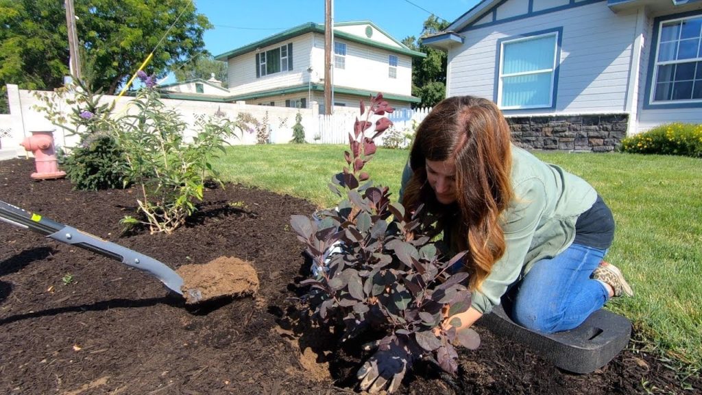 Landscape Makeover Pt 5: Looking at Rocks and Planting More Shrubs 🌿// Garden Answer