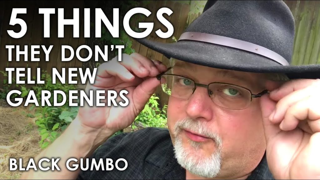 5 Things They Don't Tell New Gardeners || Black Gumbo