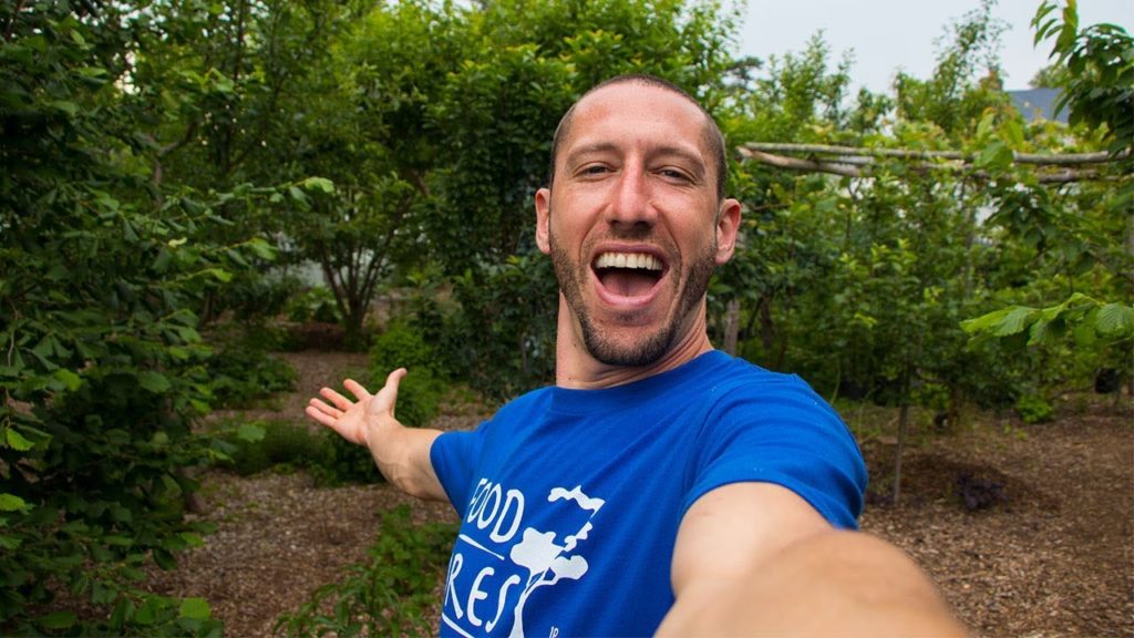 FULL GARDEN TOUR, 3 FOOD FORESTS ON ONE SUBURBAN LOT!