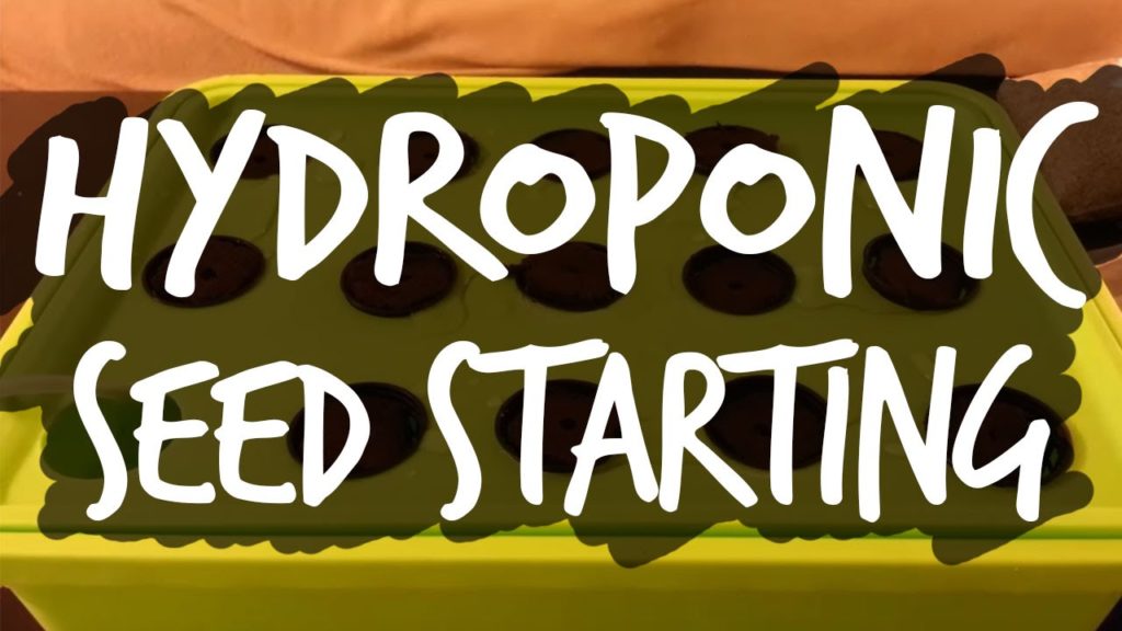 Epic Gardening: Easy Seed Starting for Hydroponics Easy Seed Starting for Hydroponics