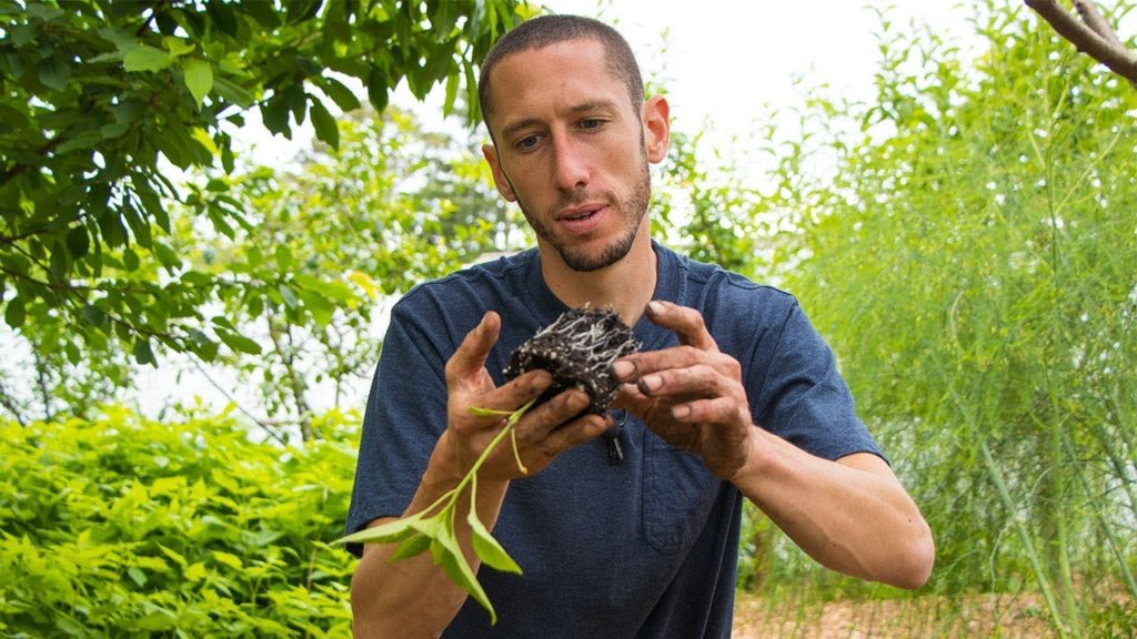 James Prigioni: It's AMAZING How SIMPLE This Makes GARDENING It's AMAZING How SIMPLE This Makes GARDENING