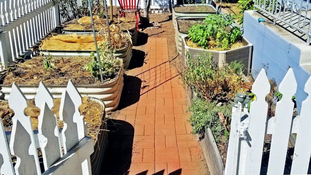 DIY Garden Path Ideas and Build (+ Why I Started Epic Gardening)