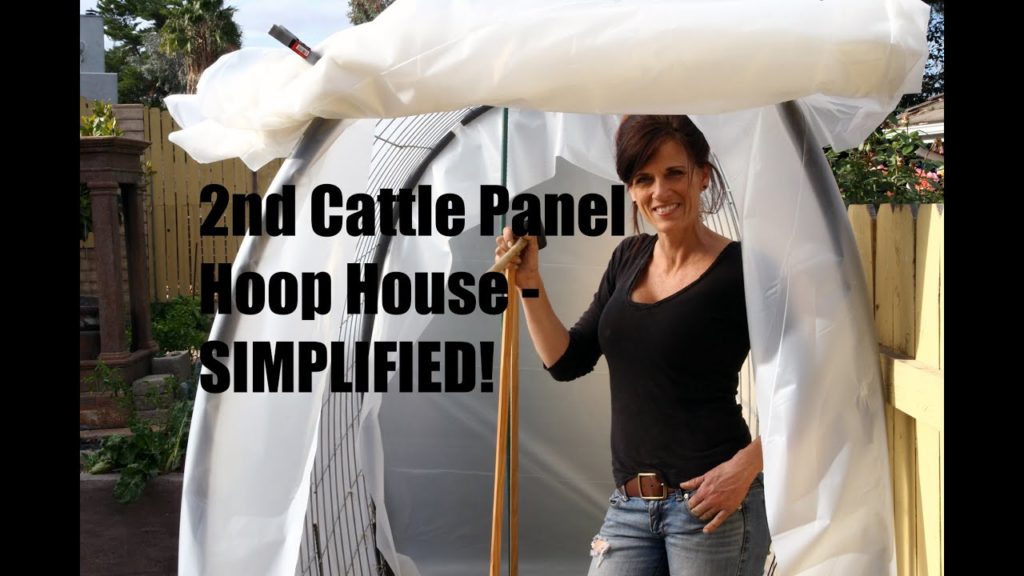 2nd DIY Cattle Panel Hoop House Build - Quick, Easy and SIMPLIFIED!