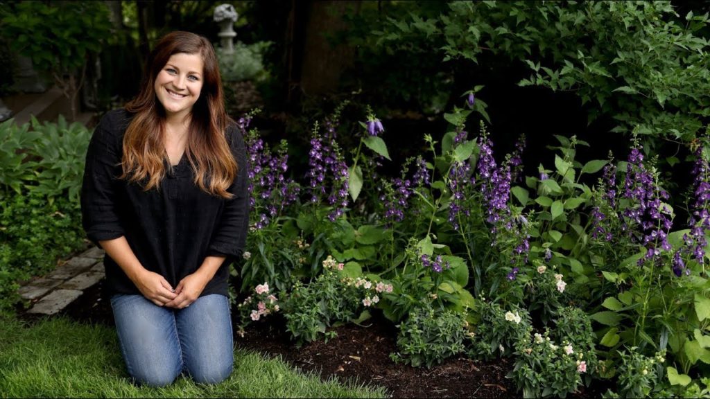 Garden Answer: Planting Angelface Super Blue Angelonia for my Parents 🌿 // Garden Answer Planting Angelface Super Blue Angelonia for my Parents 🌿 // Garden Answer