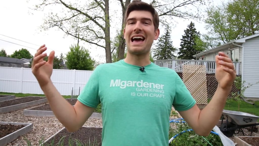 Unlock the POWER of Calcium - Increase Growth Up to 300%