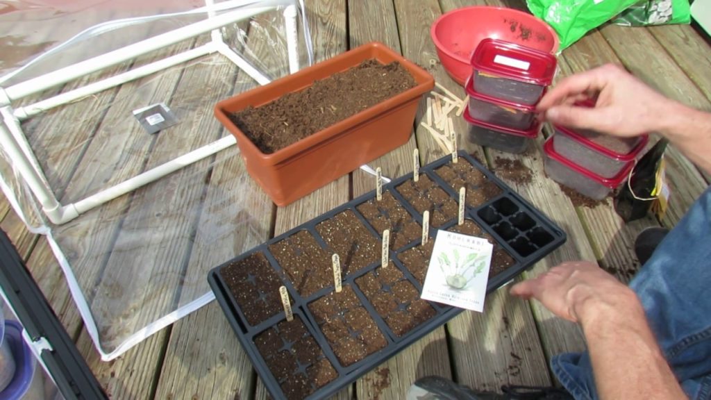 Gary Pilarchik: Starting Cool Weather Crops 2 Ways Outdoors: What are They & How to Fertilize Them Starting Cool Weather Crops 2 Ways Outdoors: What are They & How to Fertilize Them