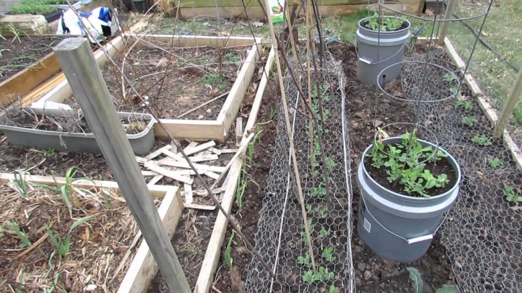 Gary Pilarchik: Early Treatment to Manage Snails and Slugs: Iron Phosphate Early! – MFG 2014 Early Treatment to Manage Snails and Slugs: Iron Phosphate Early! - MFG 2014