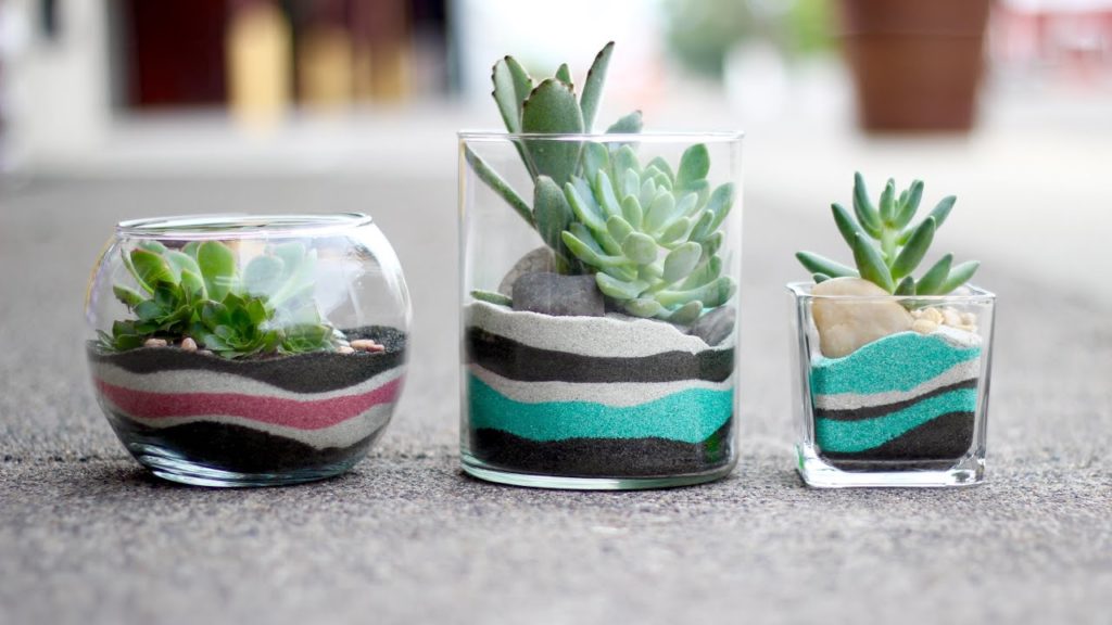 Garden Answer: Layered Sand Succulent Planter Layered Sand Succulent Planter