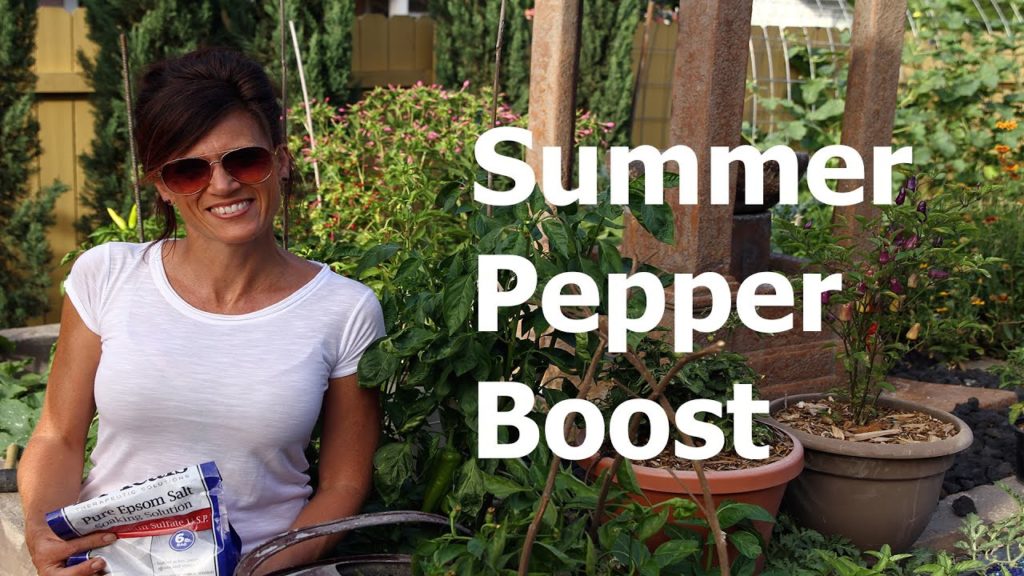 Cheap, Easy, Summer Pepper Boost