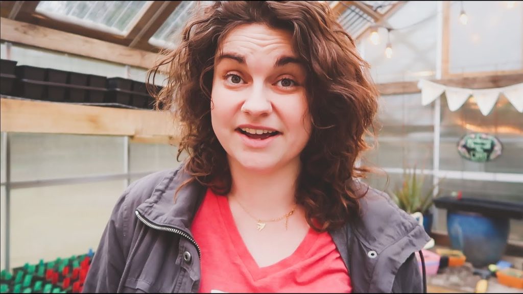 Roots and Refuge Farm: SHINDIG Change of Plans (for the better) | VLOG | Roots and Refuge Farm SHINDIG Change of Plans (for the better) | VLOG | Roots and Refuge Farm