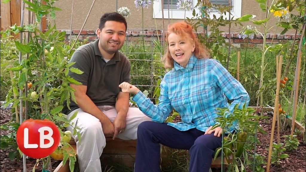 Kaye Kittrell: Lakewood | Front Yard Garden with Luis Tobon | Kaye's Vlog Lakewood | Front Yard Garden with Luis Tobon | Kaye's Vlog