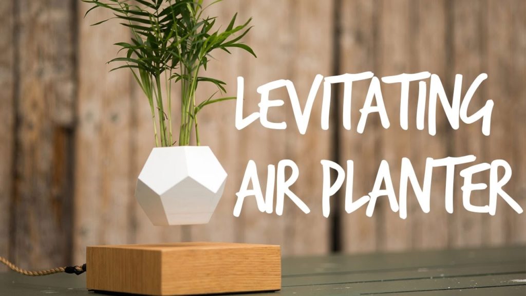 Levitating a Tillandsia Air Plant Magnetically!